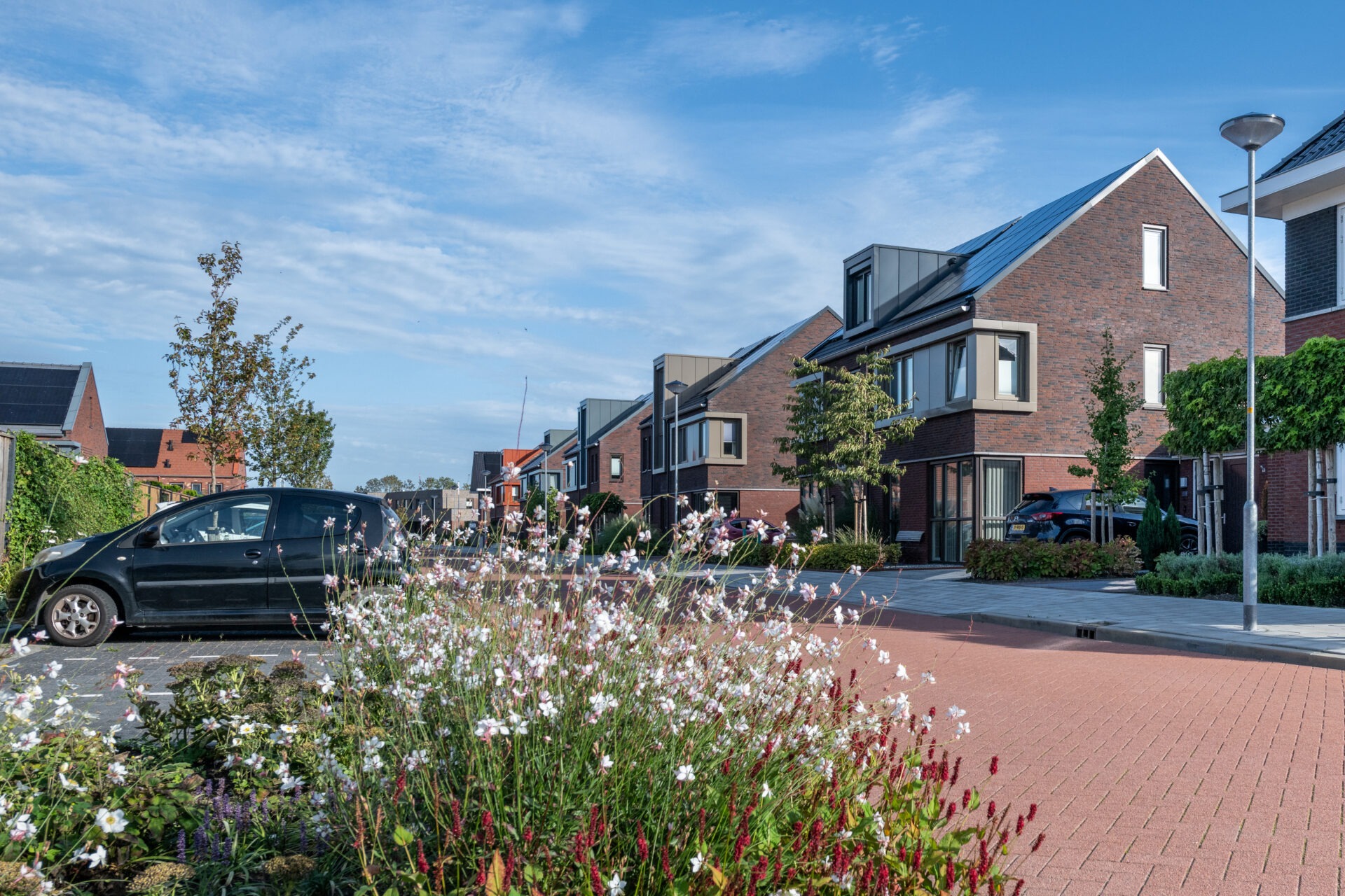 TBE-ZA | Julianaweg 141b | 1131 DH Volendam | 0299-363468 | info@tbe-za.nl | www.tbe-za.nl